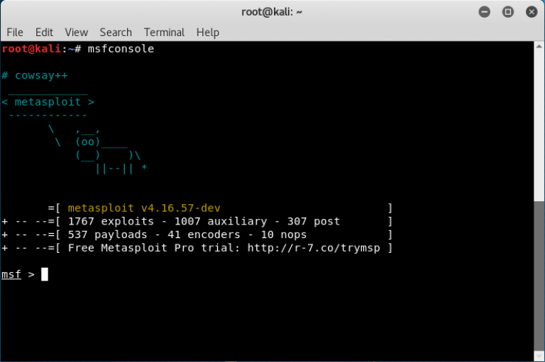 Launching msfconsole